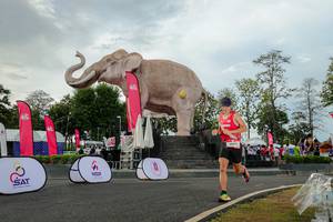 BIB: 
                            <button type="button" onclick="openModal(26528461)" class="btn btn-primary btn-sm float-right btn-popup" data-toggle="modal" data-target=".modal-high-quality">
                        <i class="fas fa-shopping-cart"></i> Add to Cart
                    </button>
                                            <button type="button" onclick="isThisMe(26528461, true)" class="btn btn-success btn-sm float-right btn-popup btn-isme hidden" data-toggle="tooltip" data-placement="bottom" title="นี่คือรูปของคุณใช่ไหม คลิกที่นี่เพื่อเอาเข้าอัลบั้ม">
                        <i class="fas fa-plus"></i> Add to album
                    </button>
                    <button type="button" onclick="isThisMe(26528461, false)" class="btn btn-warning btn-sm float-right btn-popup btn-isnotme hidden">
                        <i class="fas fa-ban"></i> Remove from album
                    </button>